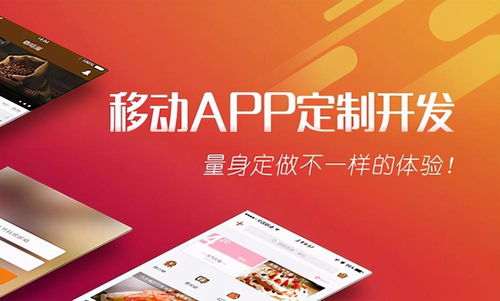 全球软件外包服务聚集地 领先城市与区域排名解析